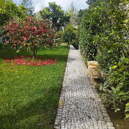 St Mary House * טומאר