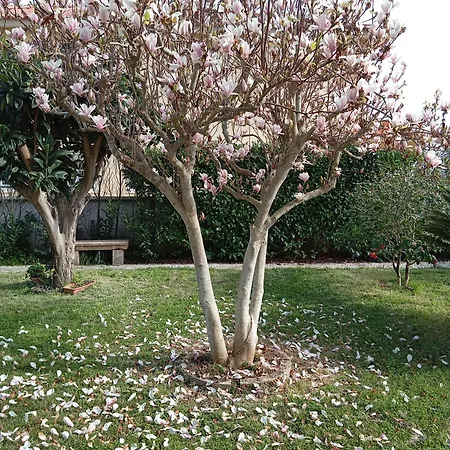 Villa St Mary House *